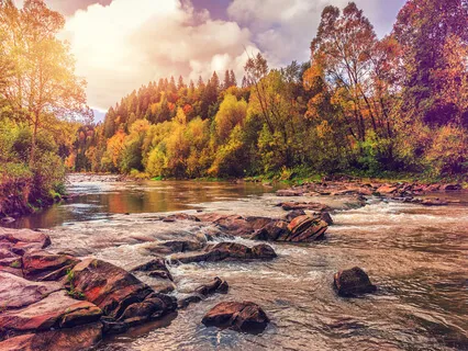 Impermanence - Exohybrid