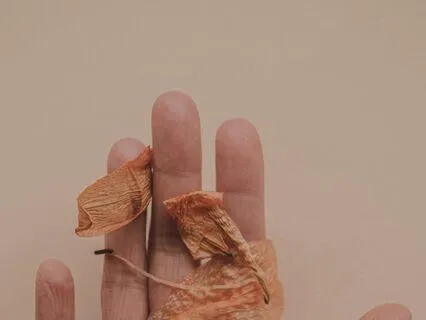 Impermanence Meditation To Embrace The Fundamental Truth