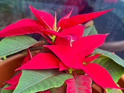 Impermanence Of Life-Emotions Integration