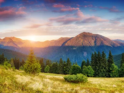 Impermanence - Rainforest Awaking 417Hz