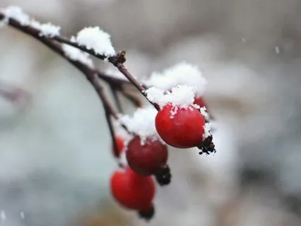 Impermanence | The Calm Sleep Lofi Beat Collection