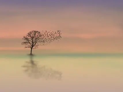 Implicit Vs Explicit Memories