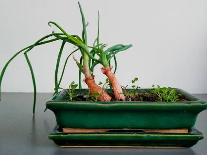 Importance Of Artistic Creativity In Times Of Grief