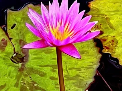 Important Keys Of Creation