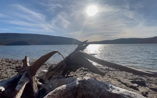 Important Questions For Your Mental Health ~ SWP E100 4/4