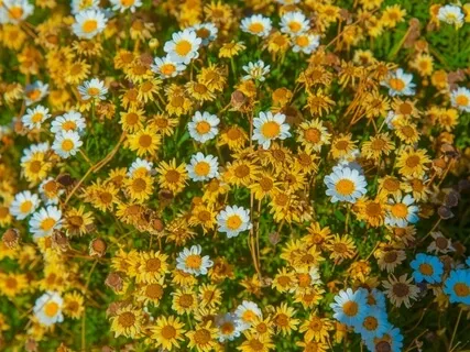 Important Things In Our Life