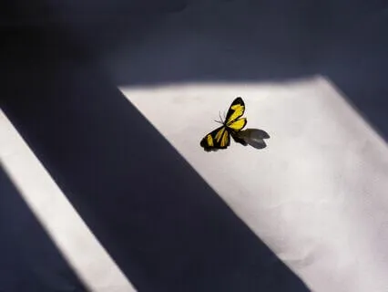 Impossible Presence Meditation: Go Deeper Than Ever Before