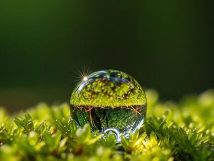 Imposter Syndrome Antidote - Quiet The Self-doubt Loop