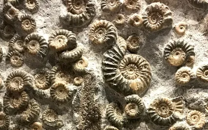 Impression Management - "Meditations For People Who Do..."