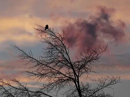 Improv On A Storm 432Hz