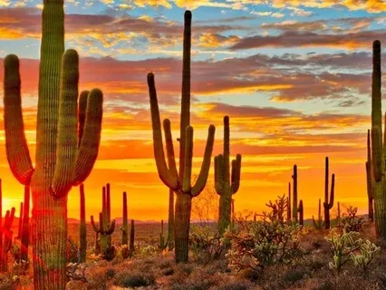 Improve Creativity | Get Inspired | Growth & Abundance