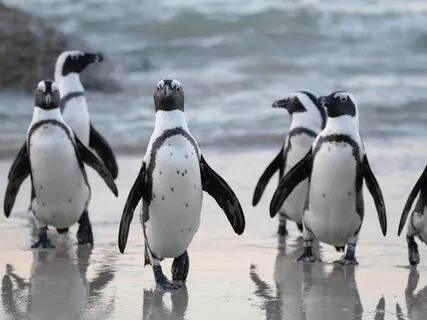 Improve Memory & Concentration | Study Music To Concentrate