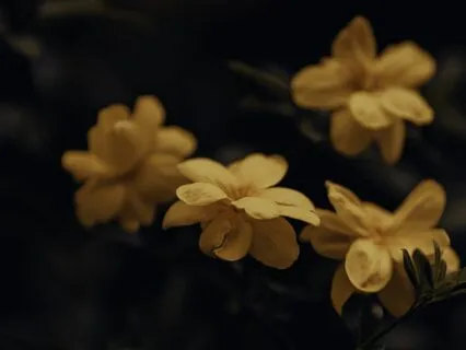 Improve Your Memory Sleep Meditation