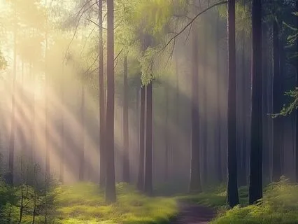 Divine Energy and Happiness