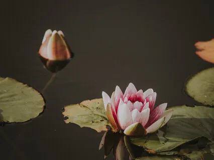 Improving Metacognitive Abilities 11 Minutes