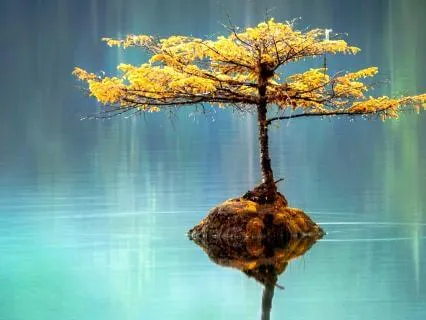 Improving What I Can