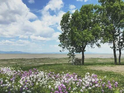 Impurities Of The Mind Blocks The Realization