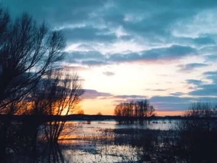 In A Capsule Of Light