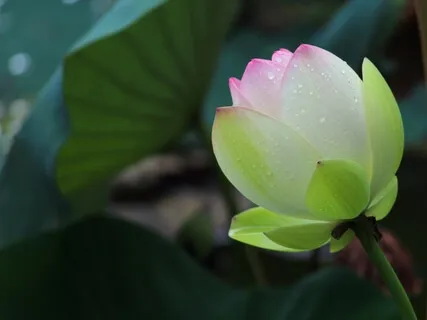 Love In All Directions