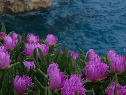 In Case You Forget, You Are A Wonder