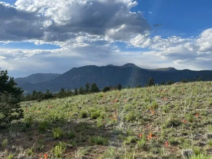 In Control Of Our Happiness And Having A Positive Life