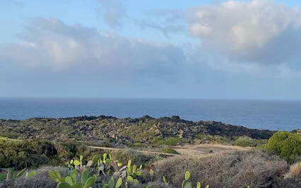 In-Depth Explanation Using Meditation To Ease Sleeplessness 