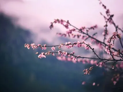 In Dreams (Sensitive Piano)