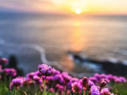 In Embrace | Handpan Reflections In G Pygmy