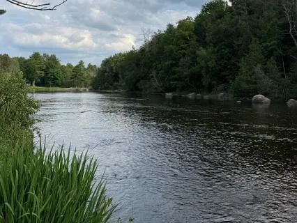 In Flow With The Universe