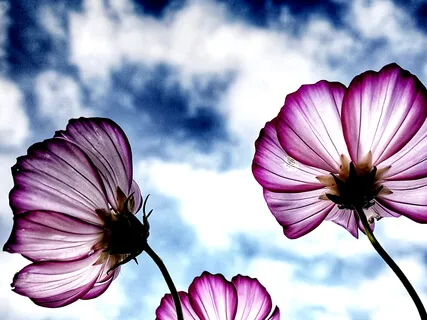 In - Flowing Water, Violin & Binaural Beats For Deep Relaxation & Calm