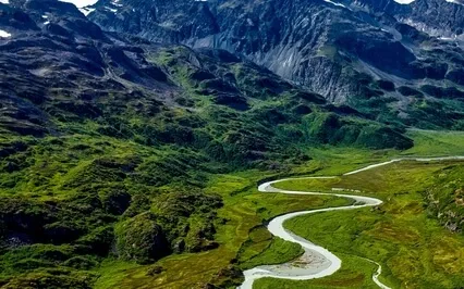 In Full Attention, The Mind Perceives The Danger & Acts