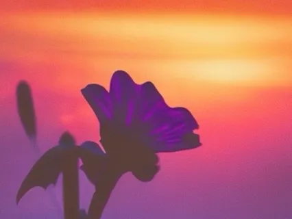 In God's Presence - Worship Music