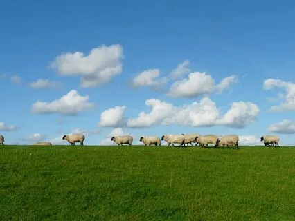 In His Hands We Are Safe