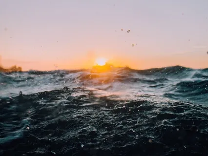 In Life, Made Of Life: A Meditation With Belly & Breath