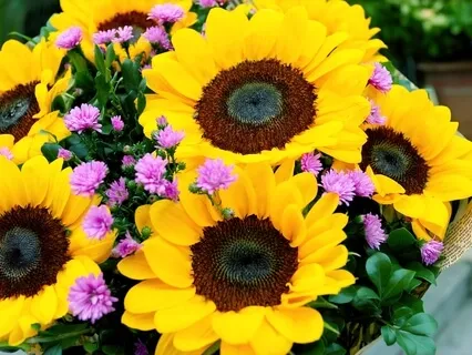 In Meditation, We Experience Real Nature Shines The World