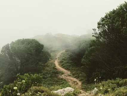 In Movement (Part 1)