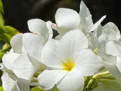 In Nothing Is Everything