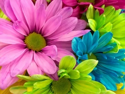 In Praise Of Karma Yoga How To Think, Speak & Act