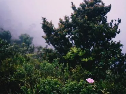 In Prayer: A 17 Minute Christian Meditation Experience