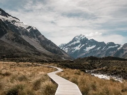 In Pursuit Of Purpose?