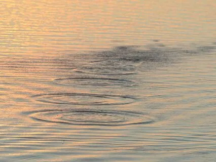 In Rhythm With Your Becoming