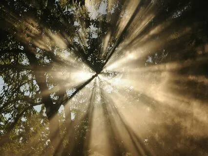 In Search Of Divinity