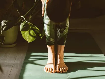 In Search Of Zen: A Musical Journey