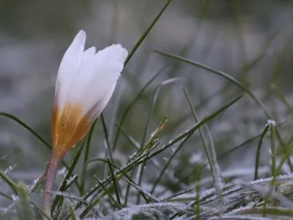 In Stillness We Rise