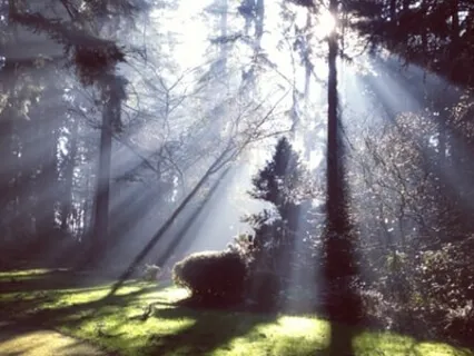 In The Beam Of Source Light