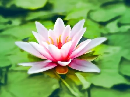 In The Divine (Piano)