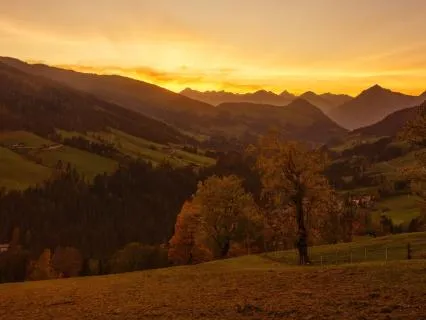 In The Evening - Relaxing Sounds Of Nature (8 hours)