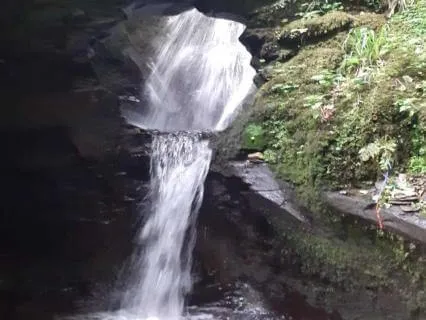 In The Glen