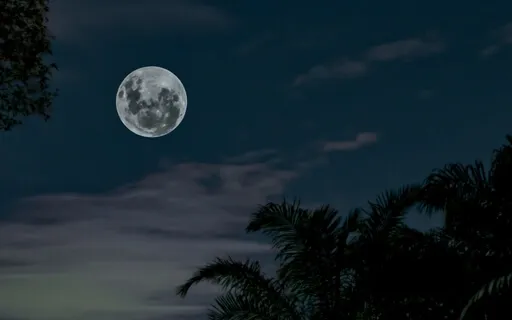 In The Grasp Of A Dream