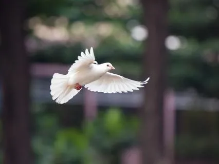 In The Heart Of Grief